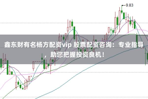 鑫东财有名杨方配资vip 股票配资咨询：专业指导，助您把握投资良机！