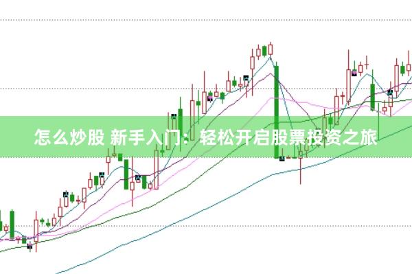 怎么炒股 新手入门：轻松开启股票投资之旅