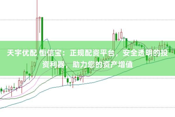 天宇优配 恒信宝:正规配资平台,安全透明的投资利器,助力您的资产增值