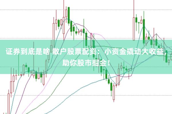 证券到底是啥 散户股票配资：小资金撬动大收益，助你股市掘金！