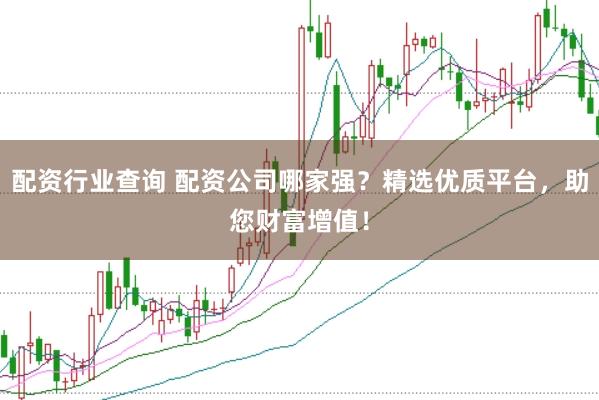 配资行业查询 配资公司哪家强？精选优质平台，助您财富增值！
