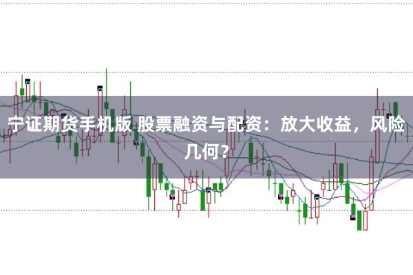 宁证期货手机版 股票融资与配资：放大收益，风险几何？