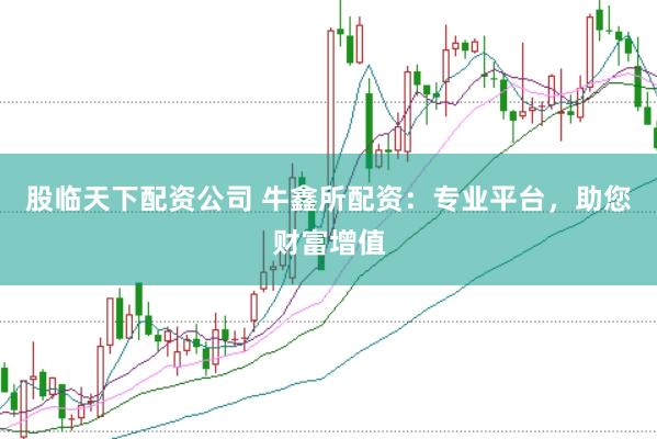 股临天下配资公司 牛鑫所配资：专业平台，助您财富增值