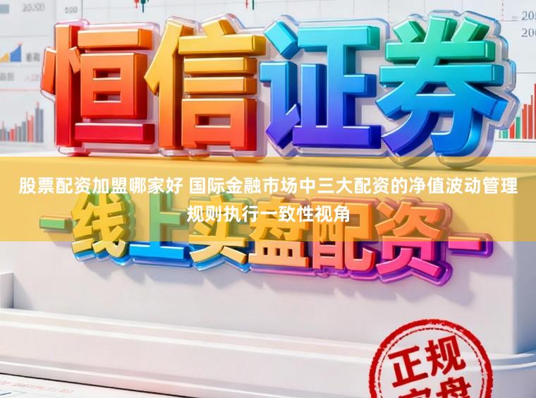 股票配资加盟哪家好 国际金融市场中三大配资的净值波动管理规则执行一致性视角