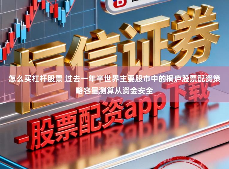 怎么买杠杆股票 过去一年半世界主要股市中的桐庐股票配资策略容量测算从资金安全