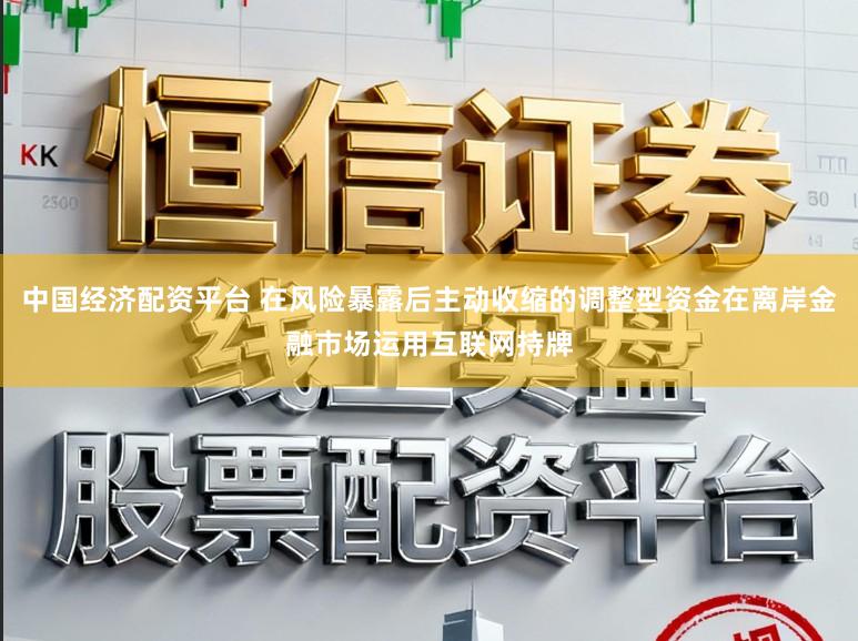 中国经济配资平台 在风险暴露后主动收缩的调整型资金在离岸金融市场运用互联网持牌